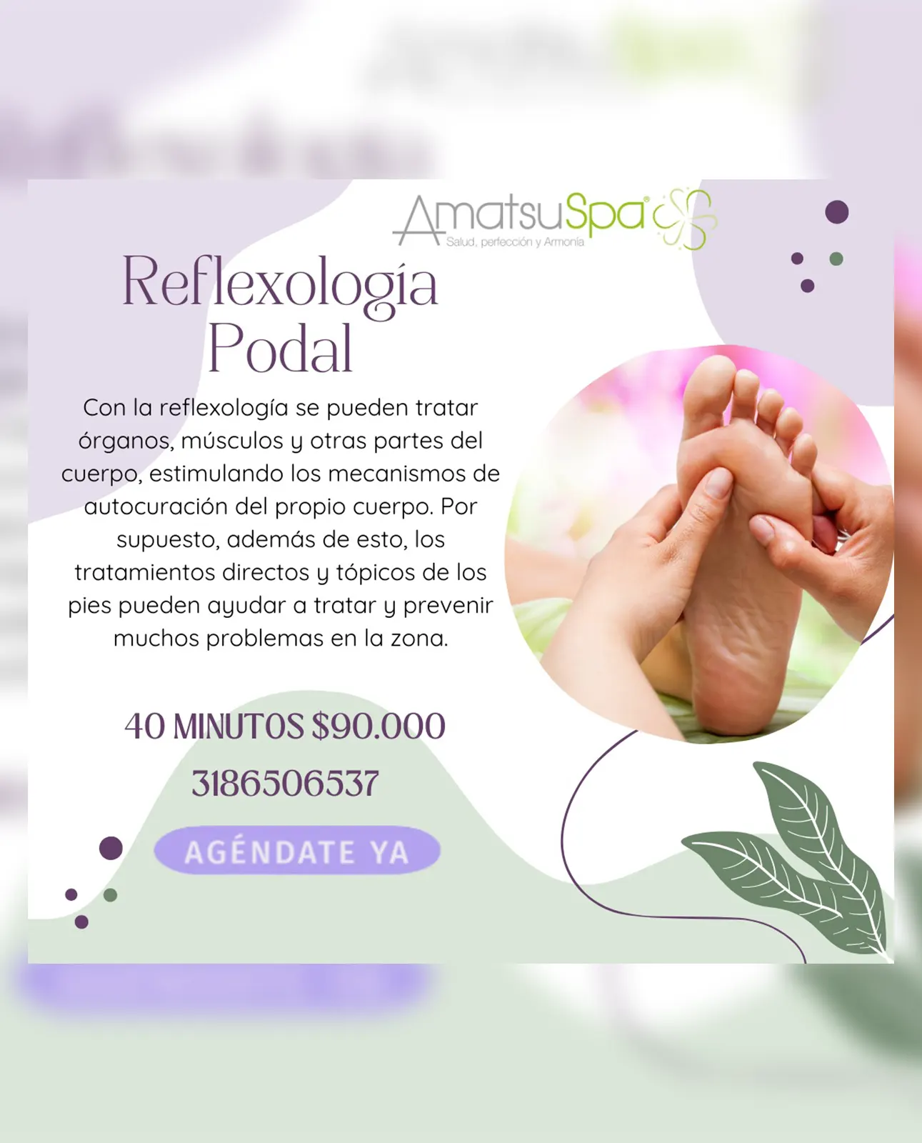 Img-Amatsu-Promo_ENE_2026-7